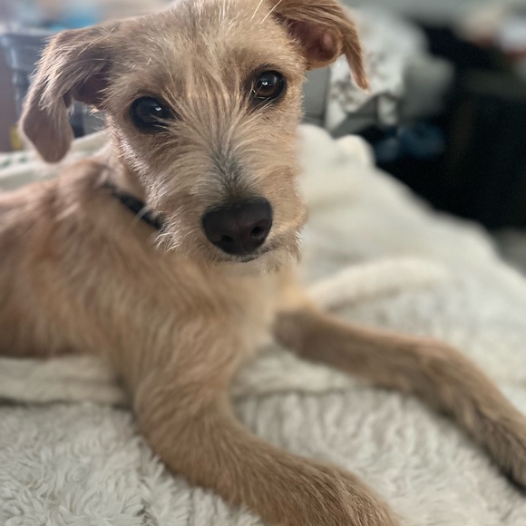 Meet your Posher, Lisa - Picture 11 of 14